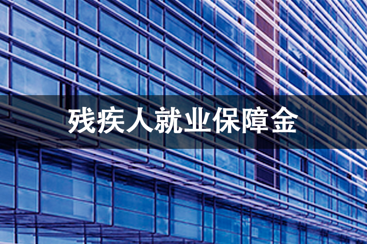 残疾人就业保障金 残疾人就业保障金